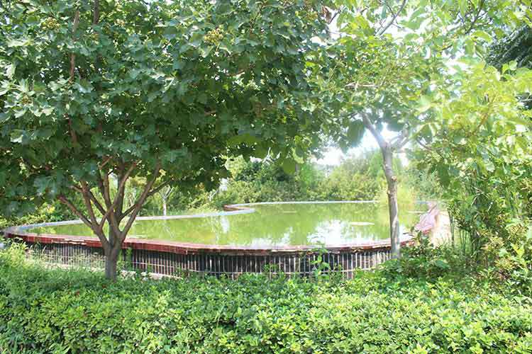 EMC易倍（中国区）官方网站-登录入口机械厂区环境优美